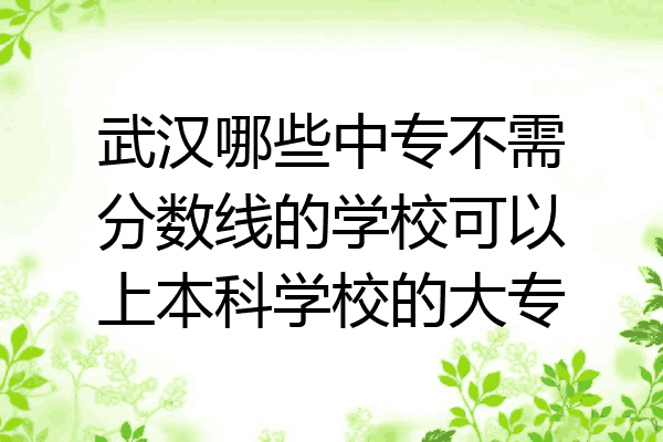 武汉哪些中专不需分数线的学校可以上本科学校的大专