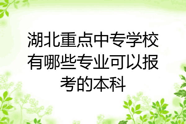 湖北重点中专学校有哪些专业可以报考的本科