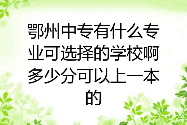 鄂州中专有什么专业可选择的学校啊多少分可以上一本的
