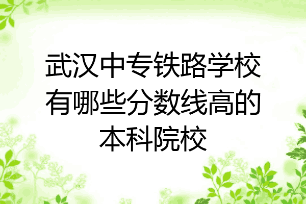 武汉中专铁路学校有哪些分数线高的本科院校