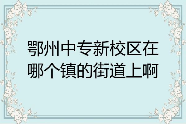 鄂州中专新校区在哪个镇的街道上啊
