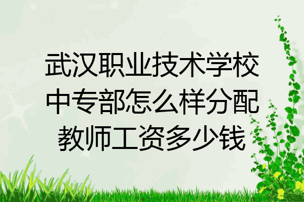 武汉职业技术学校中专部怎么样分配教师工资多少钱