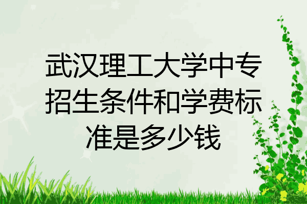 武汉理工大学中专招生条件和学费标准是多少钱