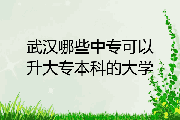 武汉哪些中专可以升大专本科的大学