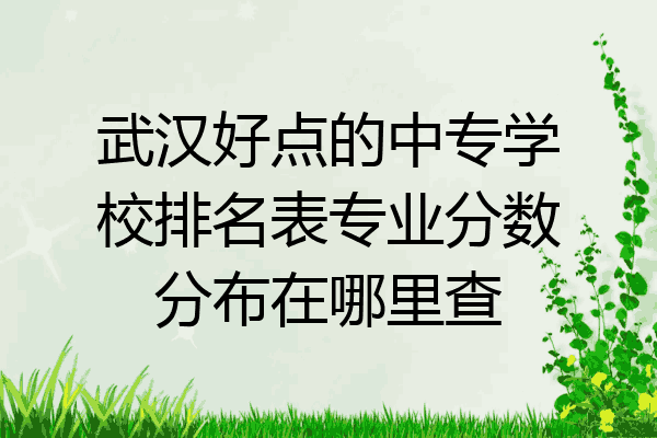 武汉好点的中专学校排名表专业分数分布在哪里查