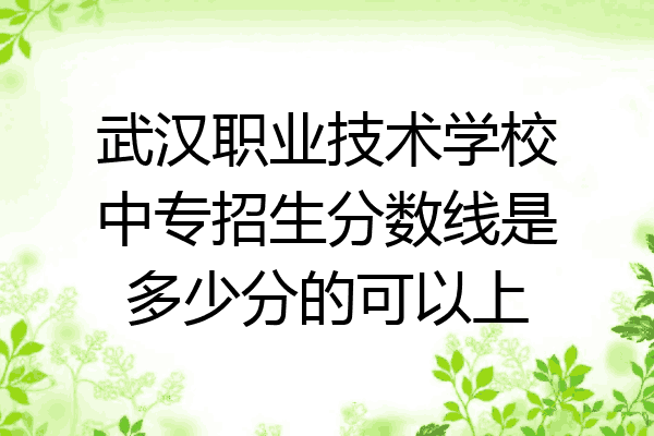 武汉职业技术学校中专招生分数线是多少分的可以上