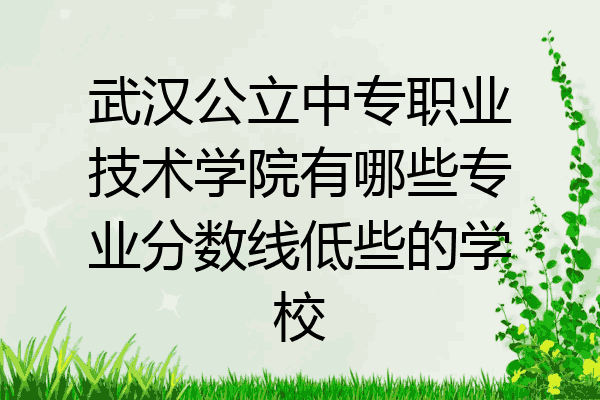 武汉公立中专职业技术学院有哪些专业分数线低些的学校