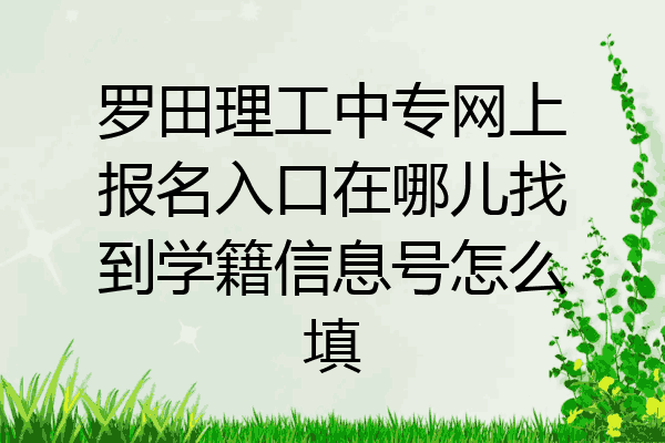 罗田理工中专网上报名入口在哪儿找到学籍信息号怎么填