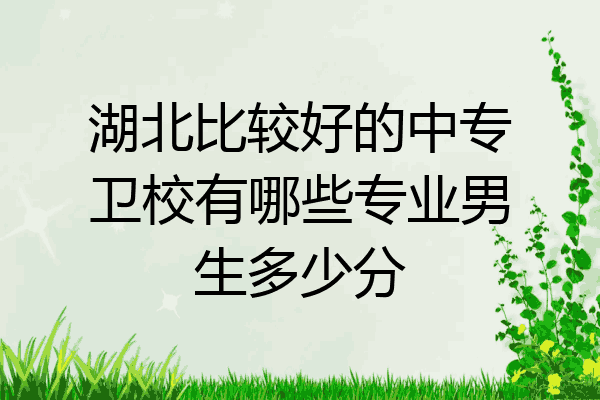 湖北比较好的中专卫校有哪些专业男生多少分