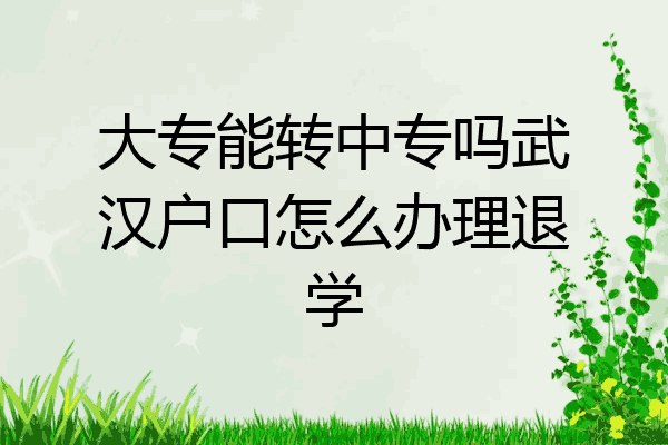 大专能转中专吗武汉户口怎么办理退学