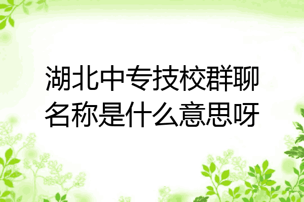 湖北中专技校群聊名称是什么意思呀