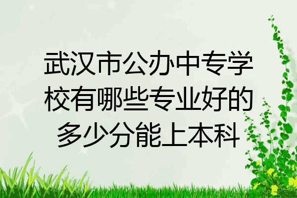 武汉市公办中专学校有哪些专业好的多少分能上本科