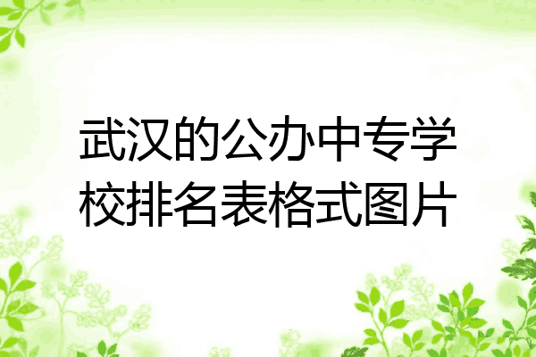 武汉的公办中专学校排名表格式图片