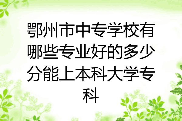 鄂州市中专学校有哪些专业好的多少分能上本科大学专科