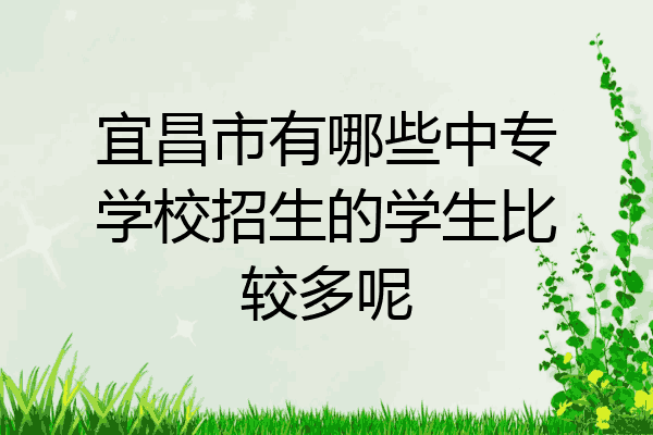 宜昌市有哪些中专学校招生的学生比较多呢