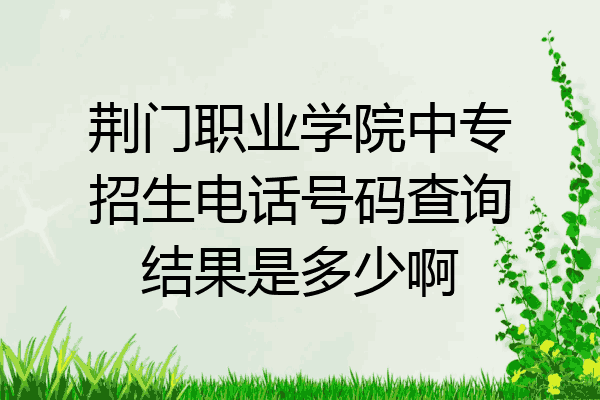 荆门职业学院中专招生电话号码查询结果是多少啊
