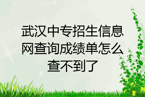 武汉中专招生信息网查询成绩单怎么查不到了