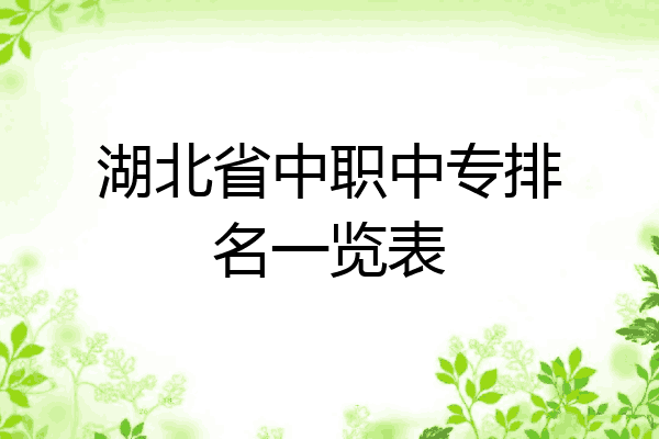 湖北省中职中专排名一览表