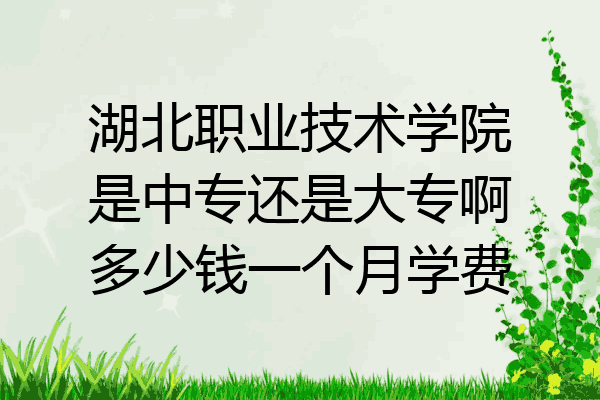 湖北职业技术学院是中专还是大专啊多少钱一个月学费