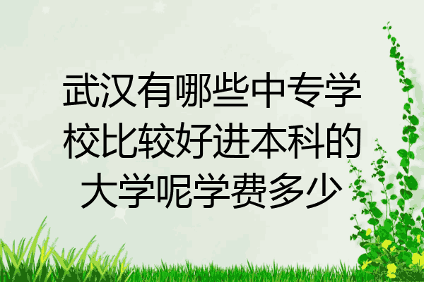 武汉有哪些中专学校比较好进本科的大学呢学费多少