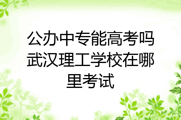 公办中专能高考吗武汉理工学校在哪里考试