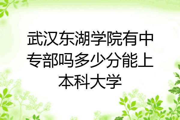 武汉东湖学院有中专部吗多少分能上本科大学