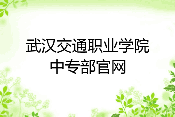 武汉交通职业学院中专部官网