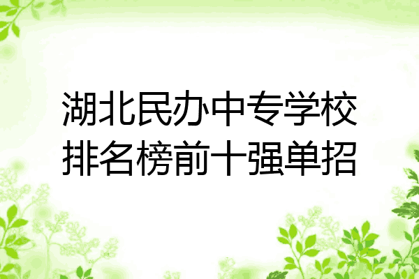 湖北民办中专学校排名榜前十强单招