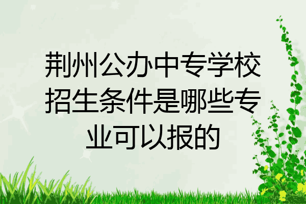 荆州公办中专学校招生条件是哪些专业可以报的