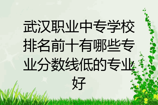 武汉职业中专学校排名前十有哪些专业分数线低的专业好