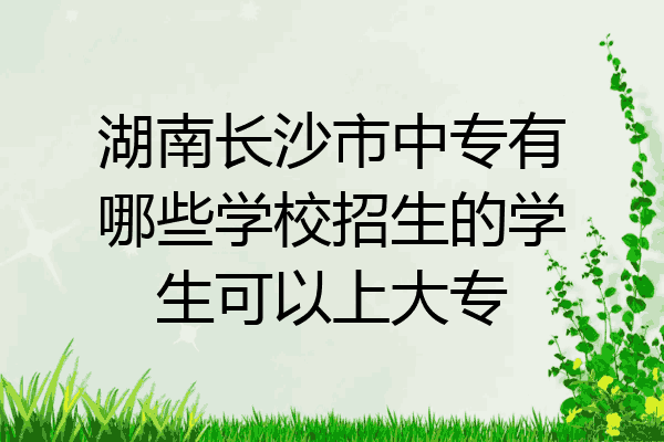 湖南长沙市中专有哪些学校招生的学生可以上大专