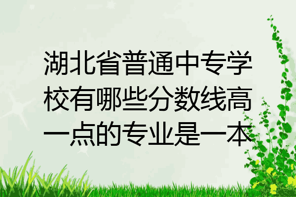 湖北省普通中专学校有哪些分数线高一点的专业是一本