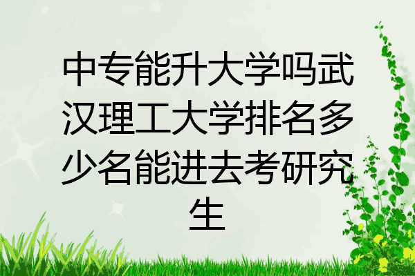 中专能升大学吗武汉理工大学排名多少名能进去考研究生