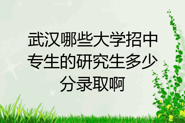 武汉哪些大学招中专生的研究生多少分录取啊