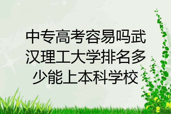 中专高考容易吗武汉理工大学排名多少能上本科学校
