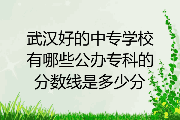 武汉好的中专学校有哪些公办专科的分数线是多少分