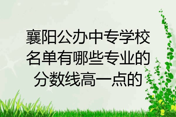 襄阳公办中专学校名单有哪些专业的分数线高一点的