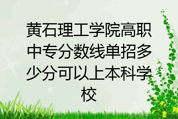 黄石理工学院高职中专分数线单招多少分可以上本科学校