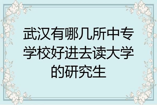 武汉有哪几所中专学校好进去读大学的研究生