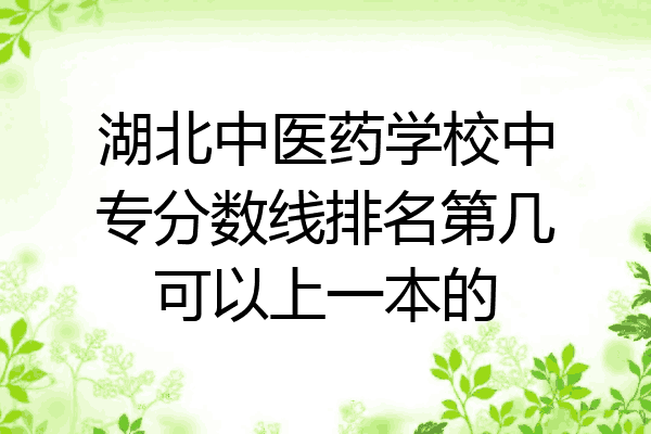 湖北中医药学校中专分数线排名第几可以上一本的
