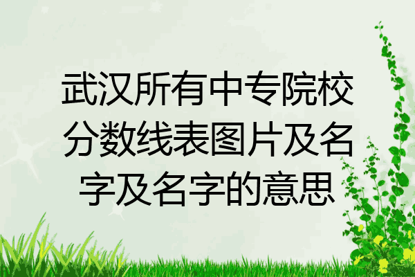 武汉所有中专院校分数线表图片及名字及名字的意思