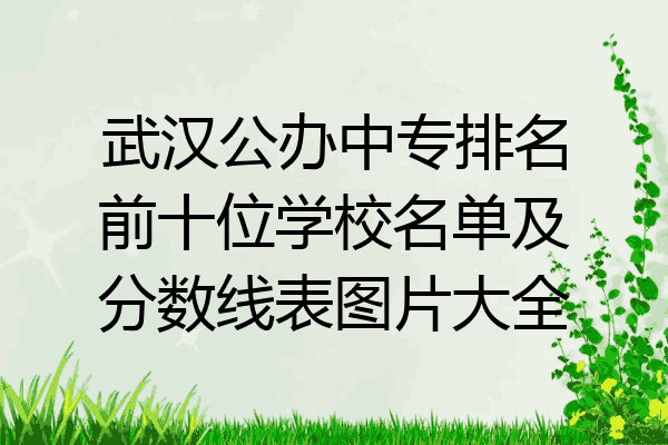 武汉公办中专排名前十位学校名单及分数线表图片大全