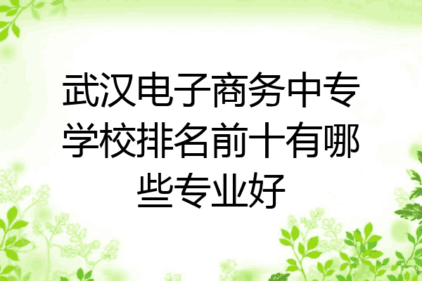 武汉电子商务中专学校排名前十有哪些专业好
