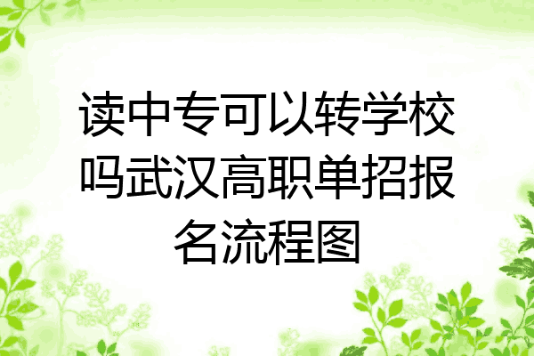 读中专可以转学校吗武汉高职单招报名流程图