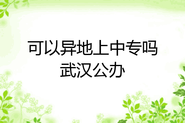 可以异地上中专吗武汉公办