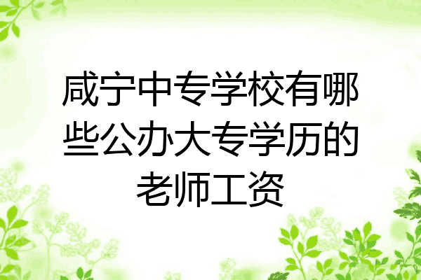 咸宁中专学校有哪些公办大专学历的老师工资