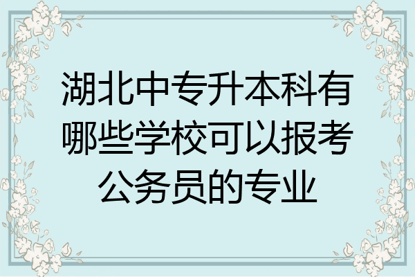 湖北中专升本科有哪些学校可以报考公务员的专业
