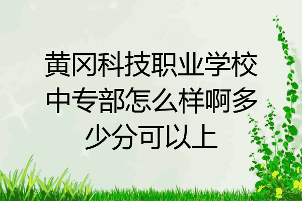 黄冈科技职业学校中专部怎么样啊多少分可以上