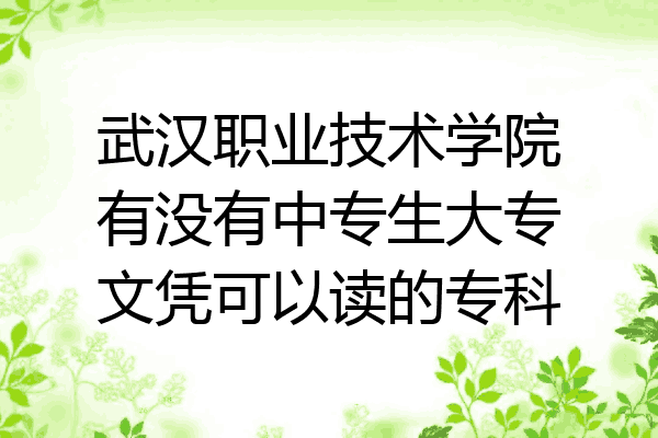 武汉职业技术学院有没有中专生大专文凭可以读的专科