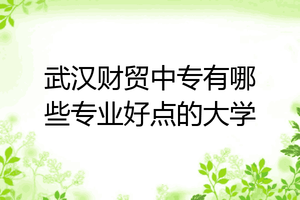 武汉财贸中专有哪些专业好点的大学